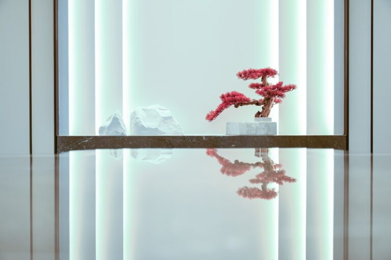 Photo Optymalizacja obrazów SEO